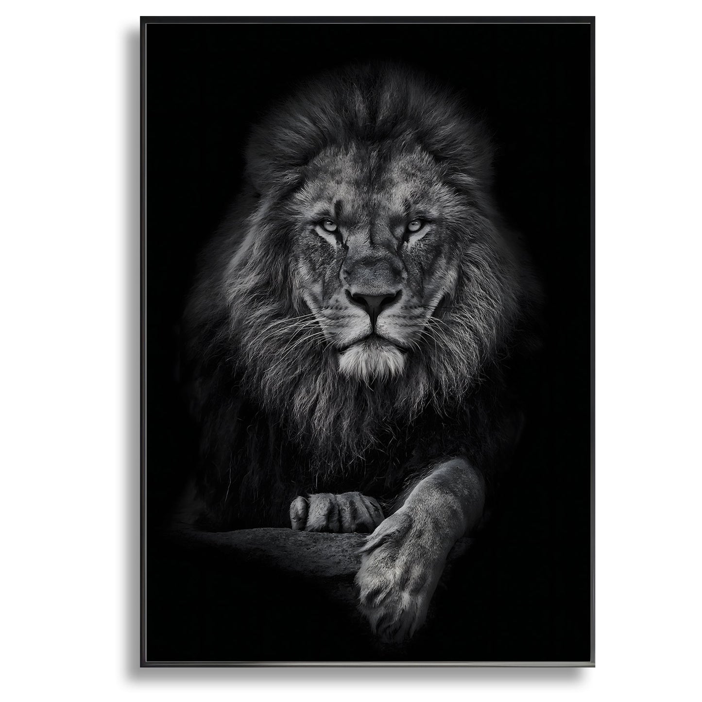 Lion Portrait - Canvas