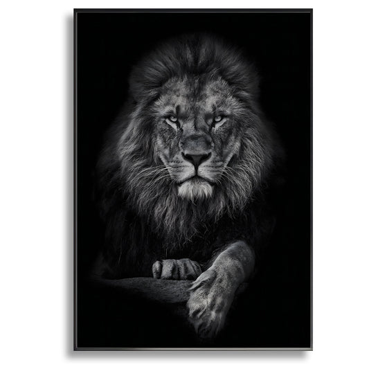 Lion Portret - Canvas