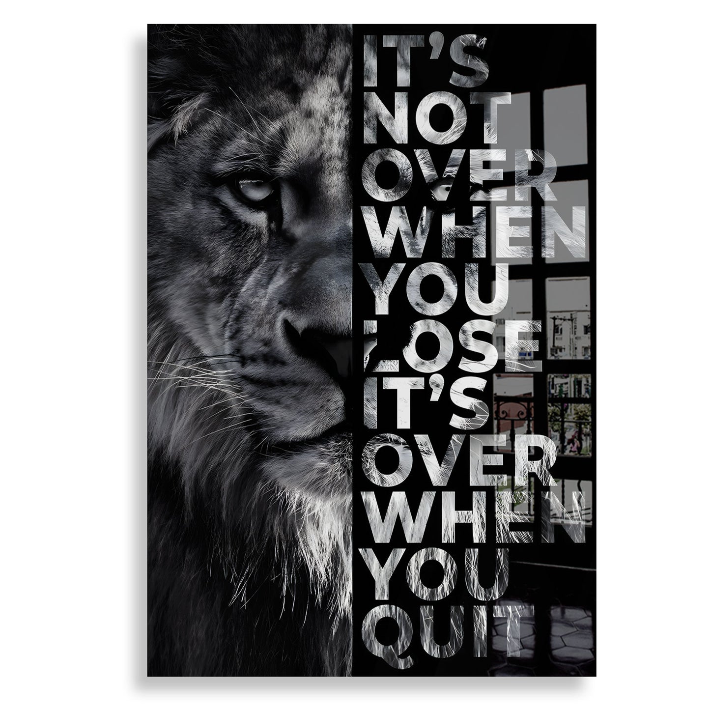 It's Not Over When You Lose - Plexiglas