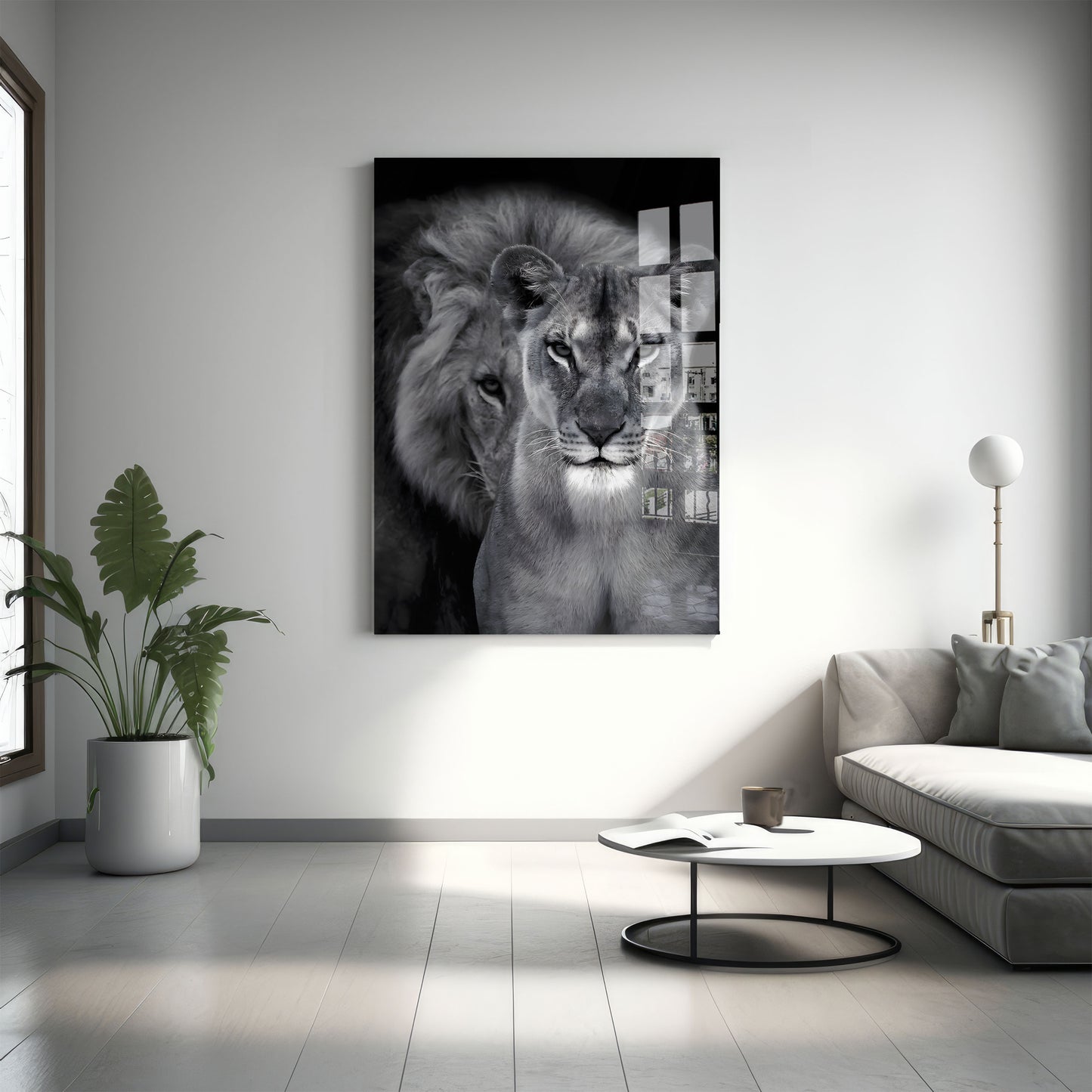 Lion And Lioness - Plexiglas