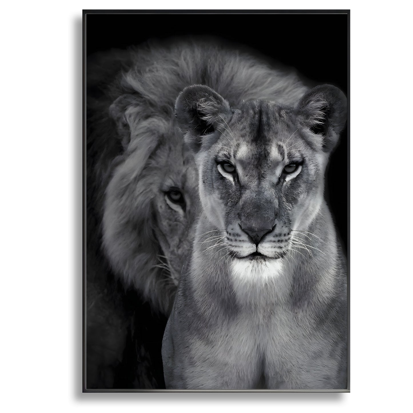 Lion And Lioness - Canvas